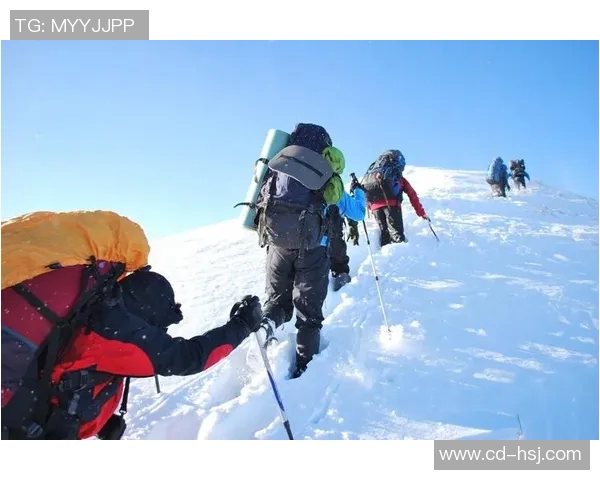 极限运动的追寻与突破：西安极限运动队的奋斗与成长之路MBA